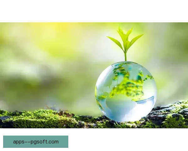 2026世界杯宣布使用可降解环保门票推动全球赛事绿色升级新风向