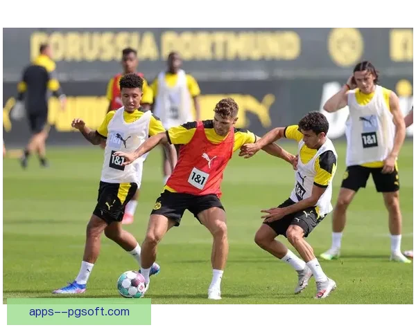 多特蒙德雄心勃勃迎接新赛季 目标冲击德甲冠军荣耀